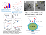 Characterization of Pt-Sn/C catalyst